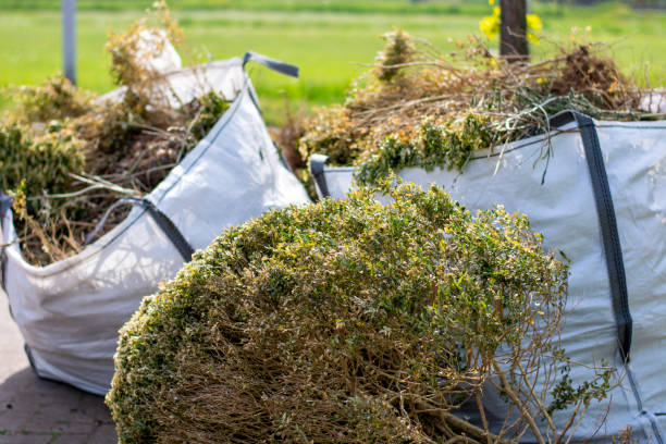 Best Yard Cleanup Services  in Menands, NY